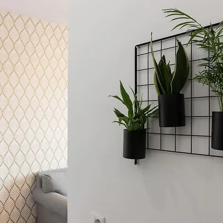 Serendipity Vatican * Řím